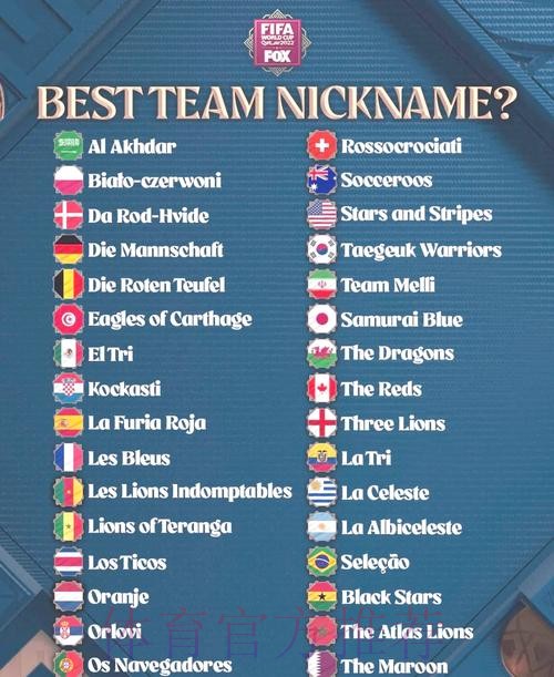 全面解析世界杯参赛球队资讯