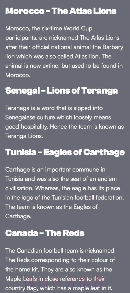 全面解析世界杯参赛球队资讯